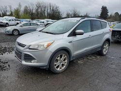 Salvage cars for sale at Portland, OR auction: 2013 Ford Escape SE