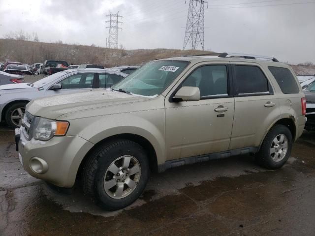 2012 Ford Escape Limited