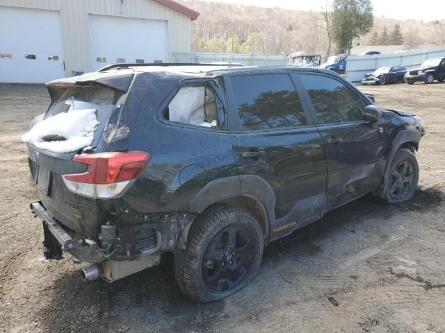 2023 Subaru Forester Wilderness