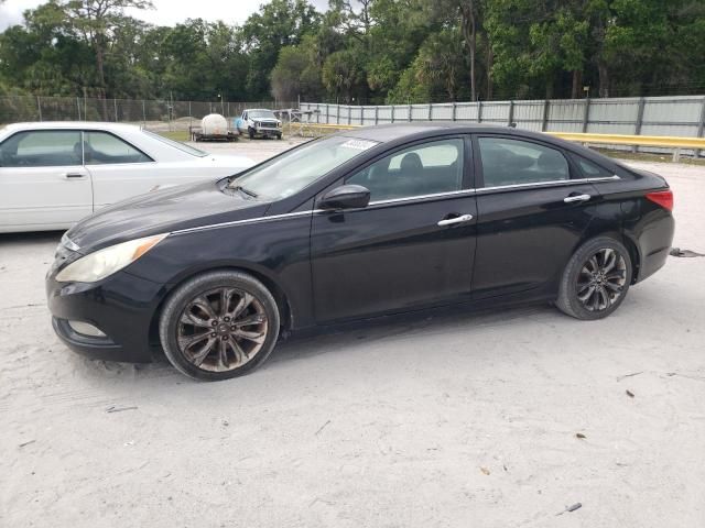 2011 Hyundai Sonata SE