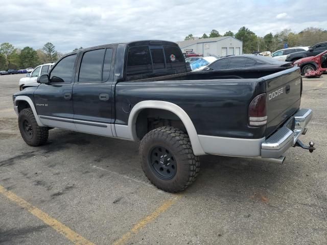 2000 Dodge Dakota Quattro