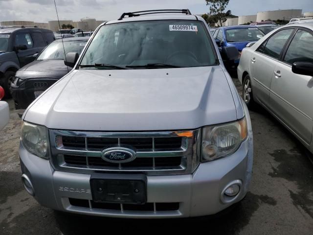 2011 Ford Escape XLT