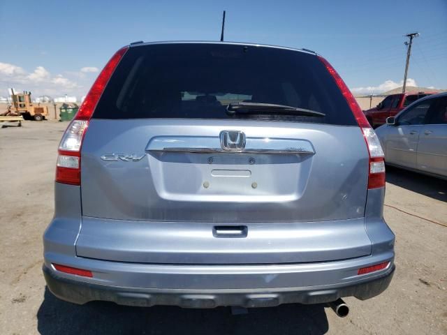 2010 Honda CR-V EXL