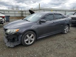 Salvage cars for sale from Copart Arlington, WA: 2012 Toyota Camry Base