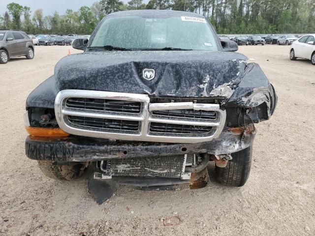 2004 Dodge Dakota SXT