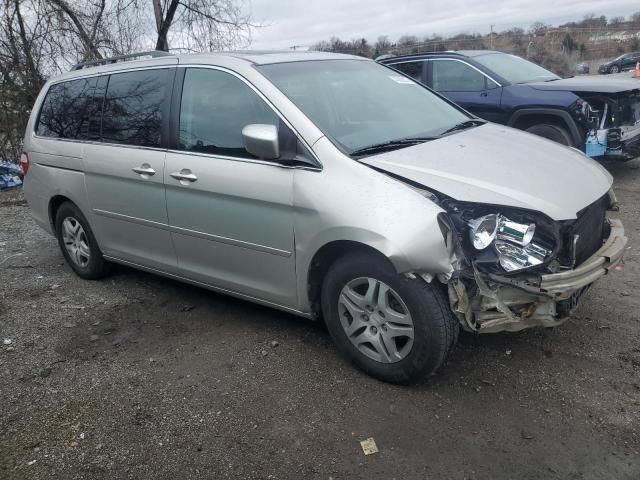 2005 Honda Odyssey EXL