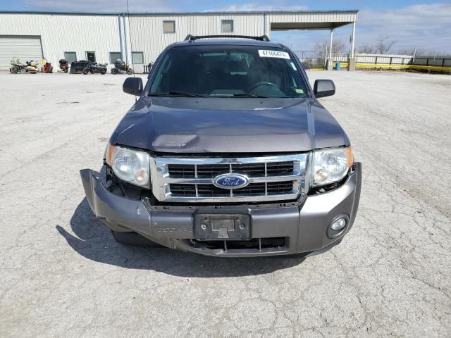 2011 Ford Escape XLT