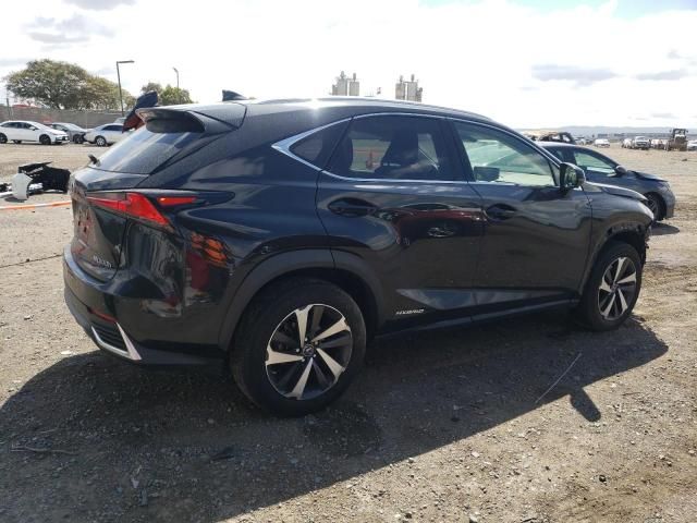 2021 Lexus NX 300H Base