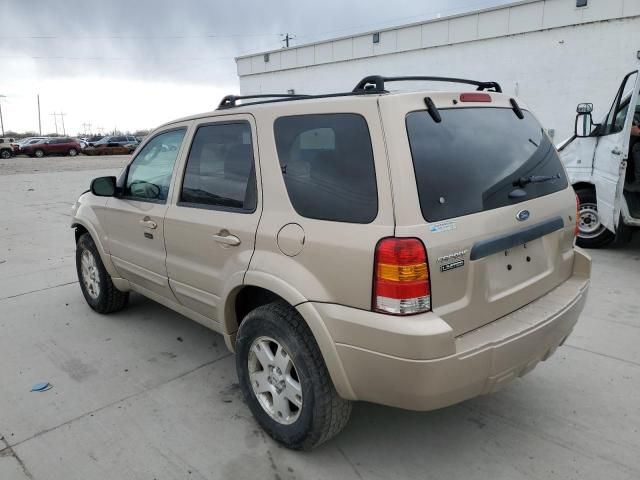 2007 Ford Escape Limited