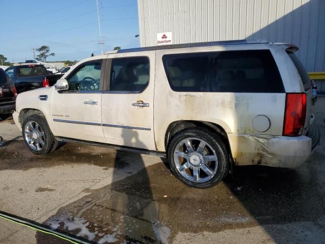 2010 Cadillac Escalade ESV Premium