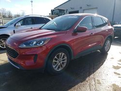 Salvage cars for sale at auction: 2020 Ford Escape SE