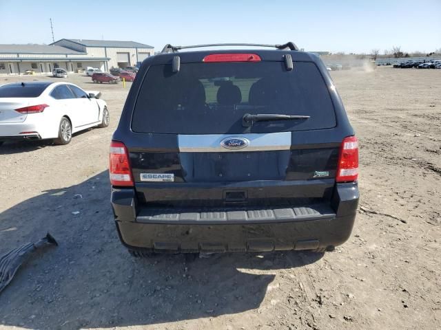 2010 Ford Escape Limited