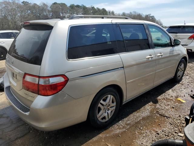 2005 Honda Odyssey EXL