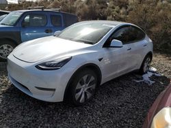 Salvage cars for sale at Reno, NV auction: 2020 Tesla Model Y