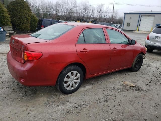 2009 Toyota Corolla Base