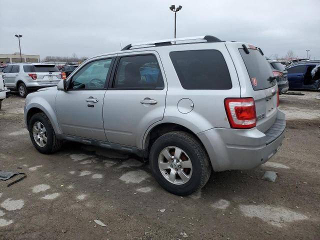 2009 Ford Escape Limited