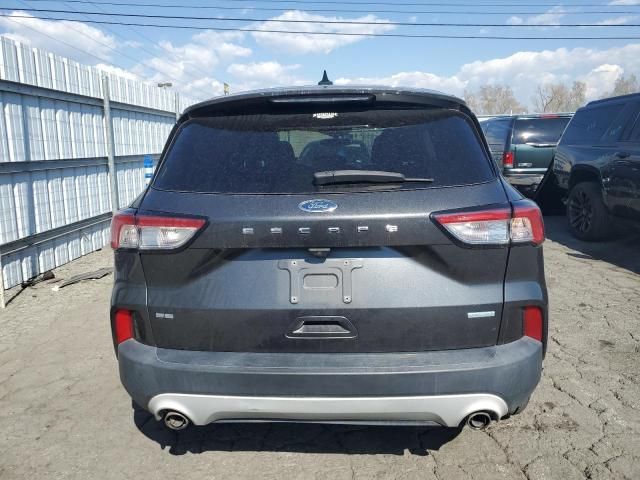 2020 Ford Escape SE