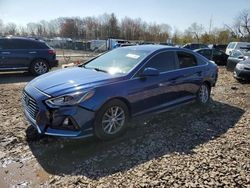 Salvage cars for sale from Copart Chalfont, PA: 2018 Hyundai Sonata SE
