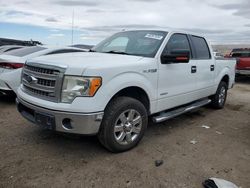 Ford salvage cars for sale: 2013 Ford F150 Supercrew