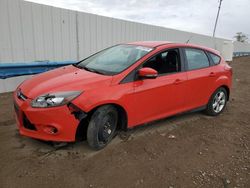 2014 Ford Focus SE en venta en Albuquerque, NM