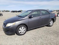 Salvage cars for sale at Antelope, CA auction: 2010 Toyota Corolla Base