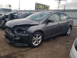 Ford Focus SE salvage cars for sale: 2013 Ford Focus SE