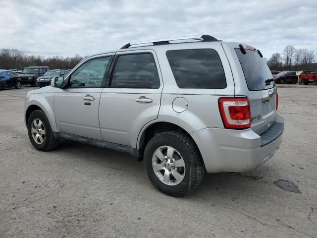 2011 Ford Escape Limited