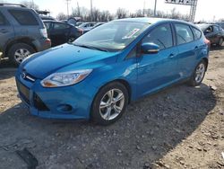 Salvage cars for sale from Copart Columbus, OH: 2013 Ford Focus SE