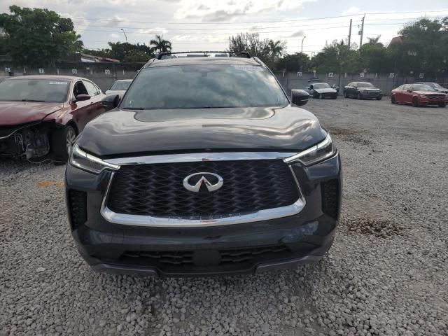 2023 Infiniti QX60 Autograph