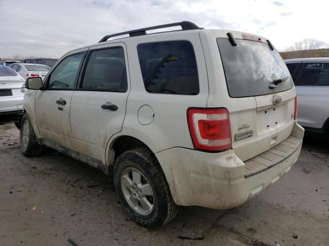 2011 Ford Escape XLT