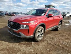 Salvage cars for sale at Elgin, IL auction: 2023 Hyundai Santa FE SEL