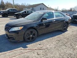 Salvage cars for sale at York Haven, PA auction: 2010 Toyota Camry Base