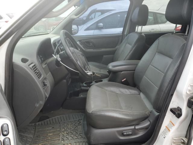 2004 Ford Escape XLT