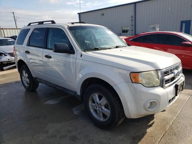 2009 Ford Escape XLT