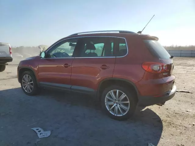 2009 Volkswagen Tiguan S