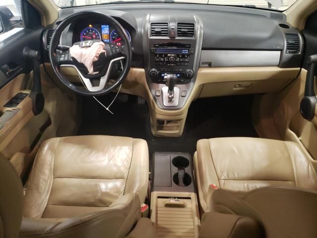 2010 Honda CR-V EXL