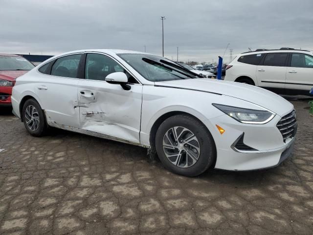 2022 Hyundai Sonata Hybrid