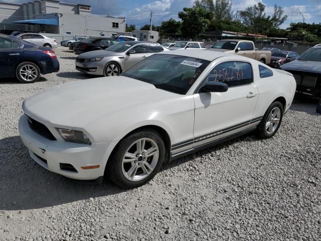 2010 Ford Mustang