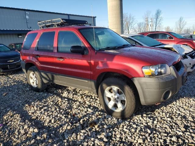 2005 Ford Escape XLT