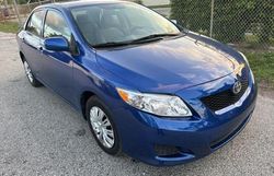 Salvage cars for sale at West Palm Beach, FL auction: 2010 Toyota Corolla Base