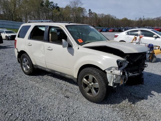 2010 Ford Escape Limited