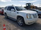 2008 Cadillac Escalade Luxury