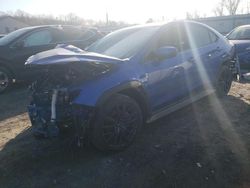 Salvage cars for sale at York Haven, PA auction: 2023 Subaru WRX Premium