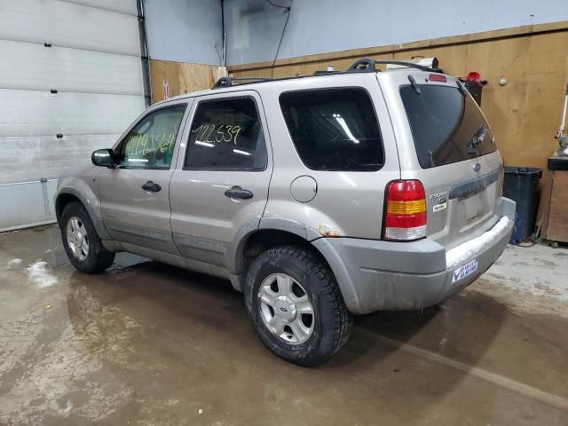 2001 Ford Escape XLT