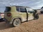 2015 Jeep Renegade Trailhawk