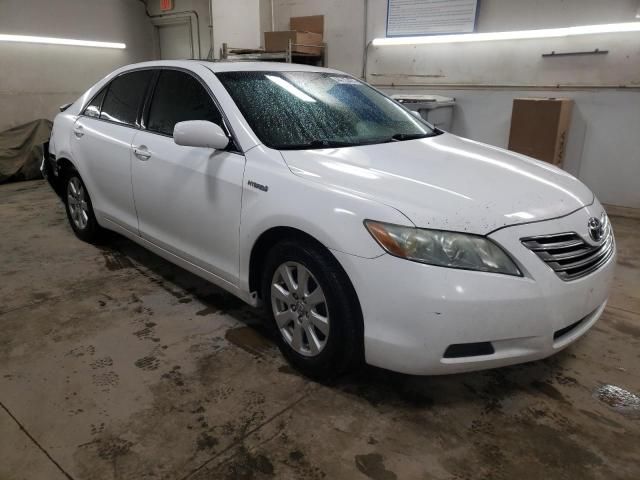 2009 Toyota Camry Hybrid