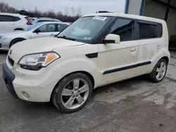 Salvage cars for sale at Duryea, PA auction: 2010 KIA Soul +