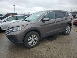 2014 Honda CR-V EX for sale in Indianapolis, IN