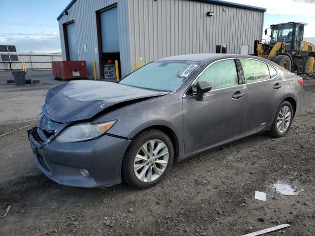 2013 Lexus ES 300H