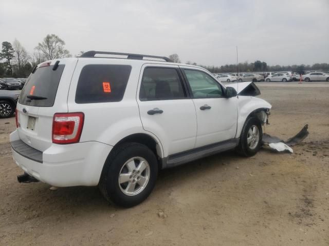 2011 Ford Escape XLT